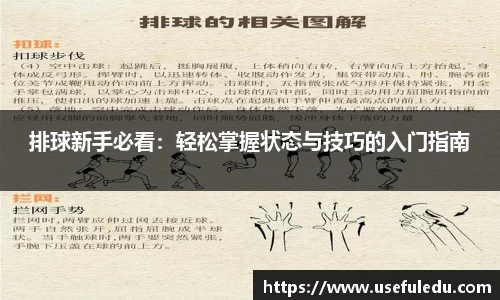 排球新手必看：轻松掌握状态与技巧的入门指南